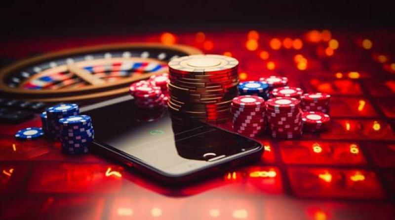 Discover the Excitement of Palm Casino 23